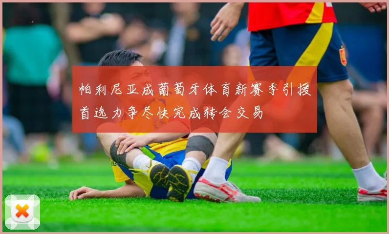 帕利尼亚成葡萄牙体育新赛季引援首选力争尽快完成转会交易