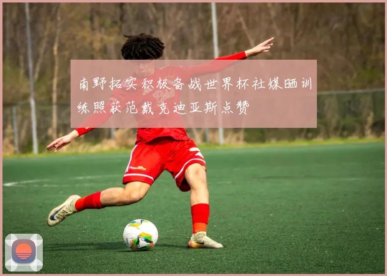 南野拓实积极备战世界杯社媒晒训练照获范戴克迪亚斯点赞